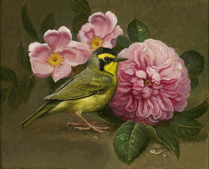 птичка-невеличка - птицы, природа, пейзаж, цветы - оригинал