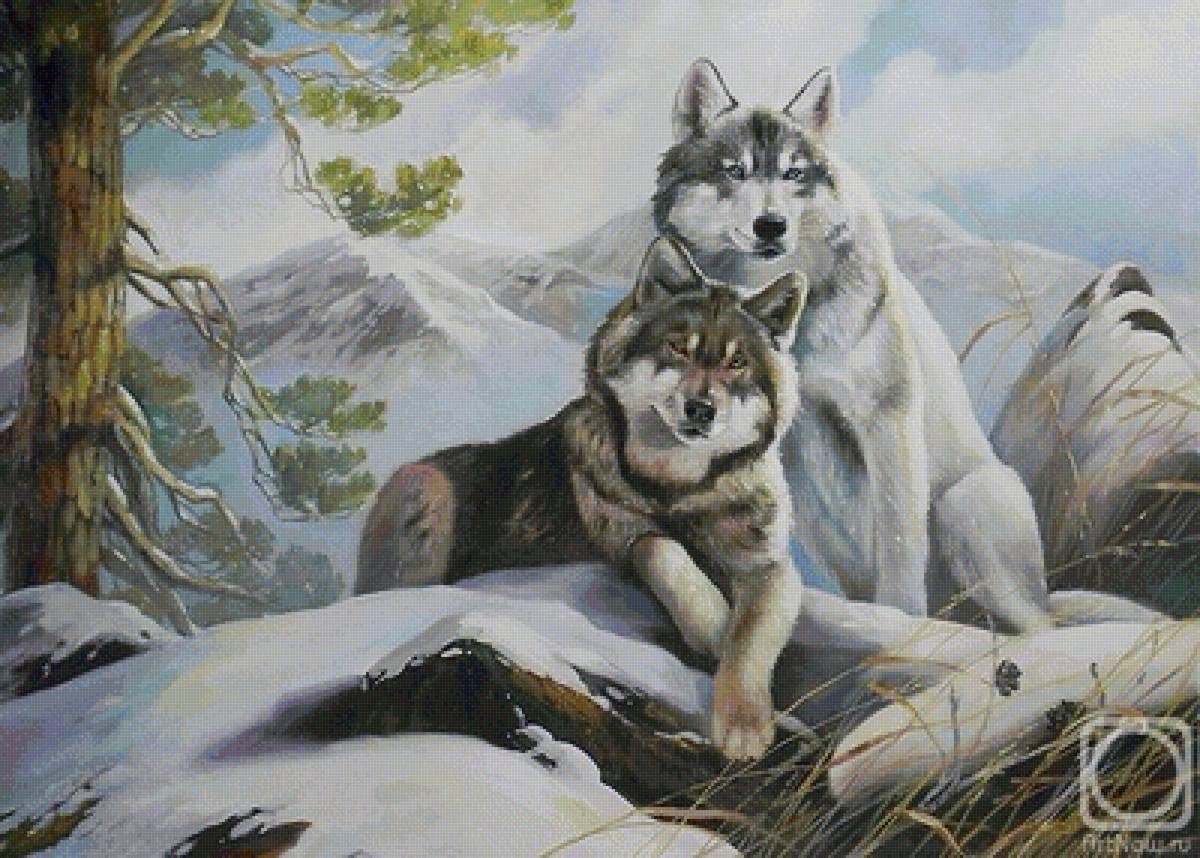 Волки - природа, животные, картина, живопись - предпросмотр