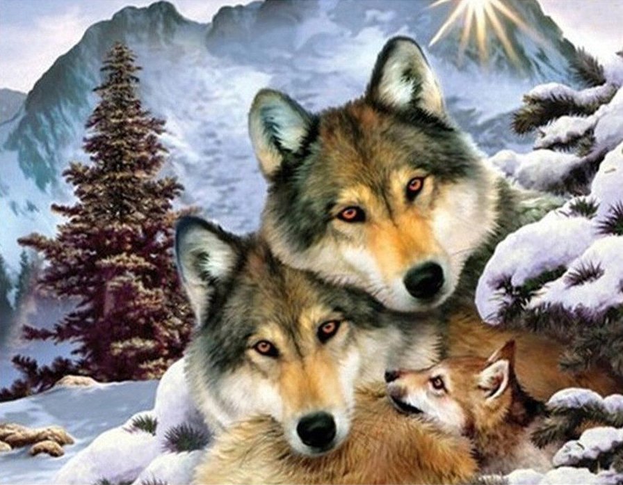 Волки - природа, животные, лес, волки - оригинал