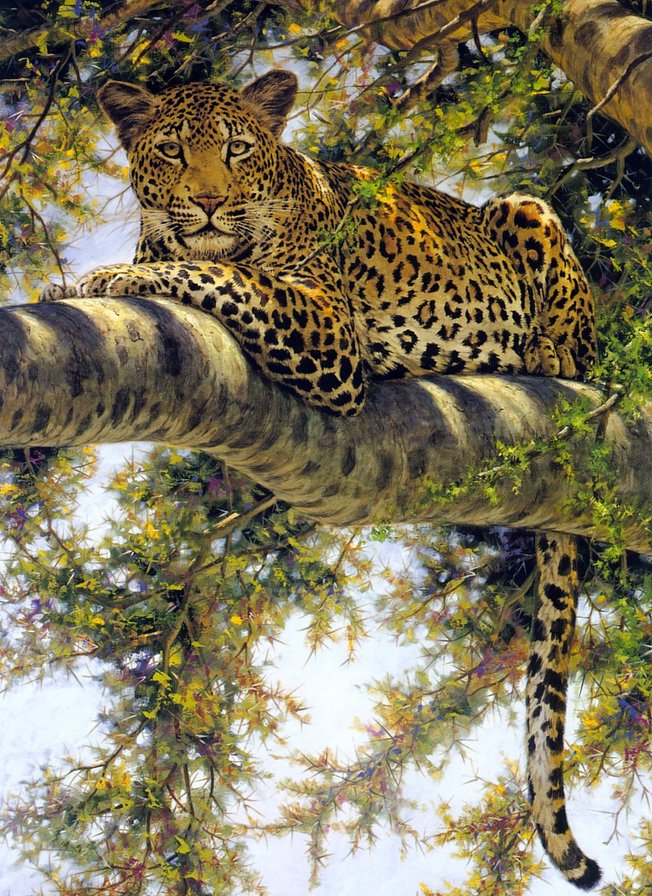 леопард на отдыхе - дерево, леопард - оригинал