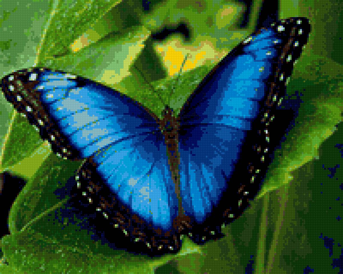 Бабочка на листе - бобочка - предпросмотр