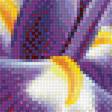 Предпросмотр схемы вышивки «цветы» (№1398245)