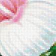 Предпросмотр схемы вышивки «цветы» (№1398267)