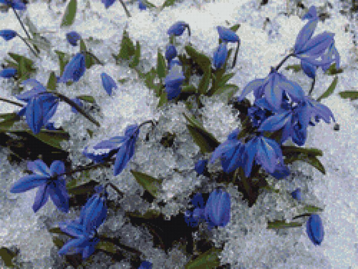 Музыка под снегом - цветы, снег, зима - предпросмотр