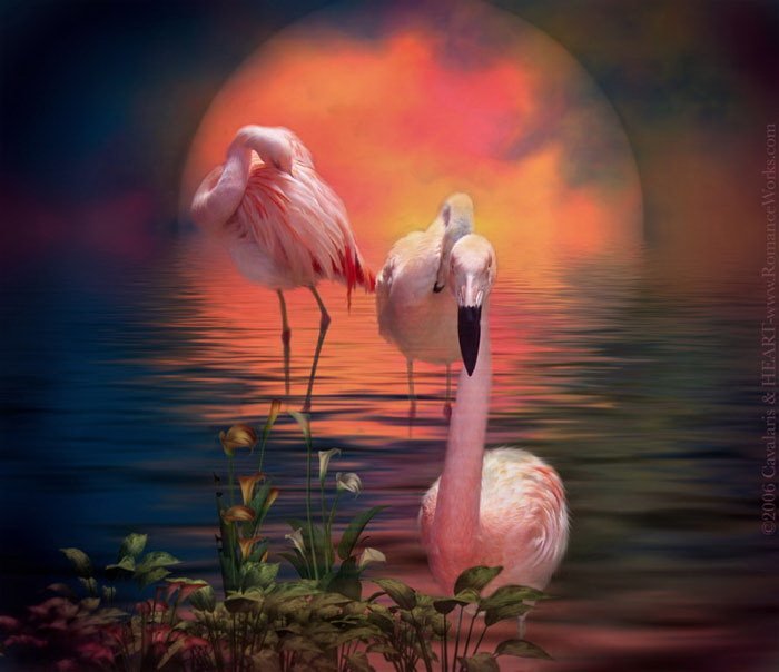 фламинго - животные, картина - оригинал
