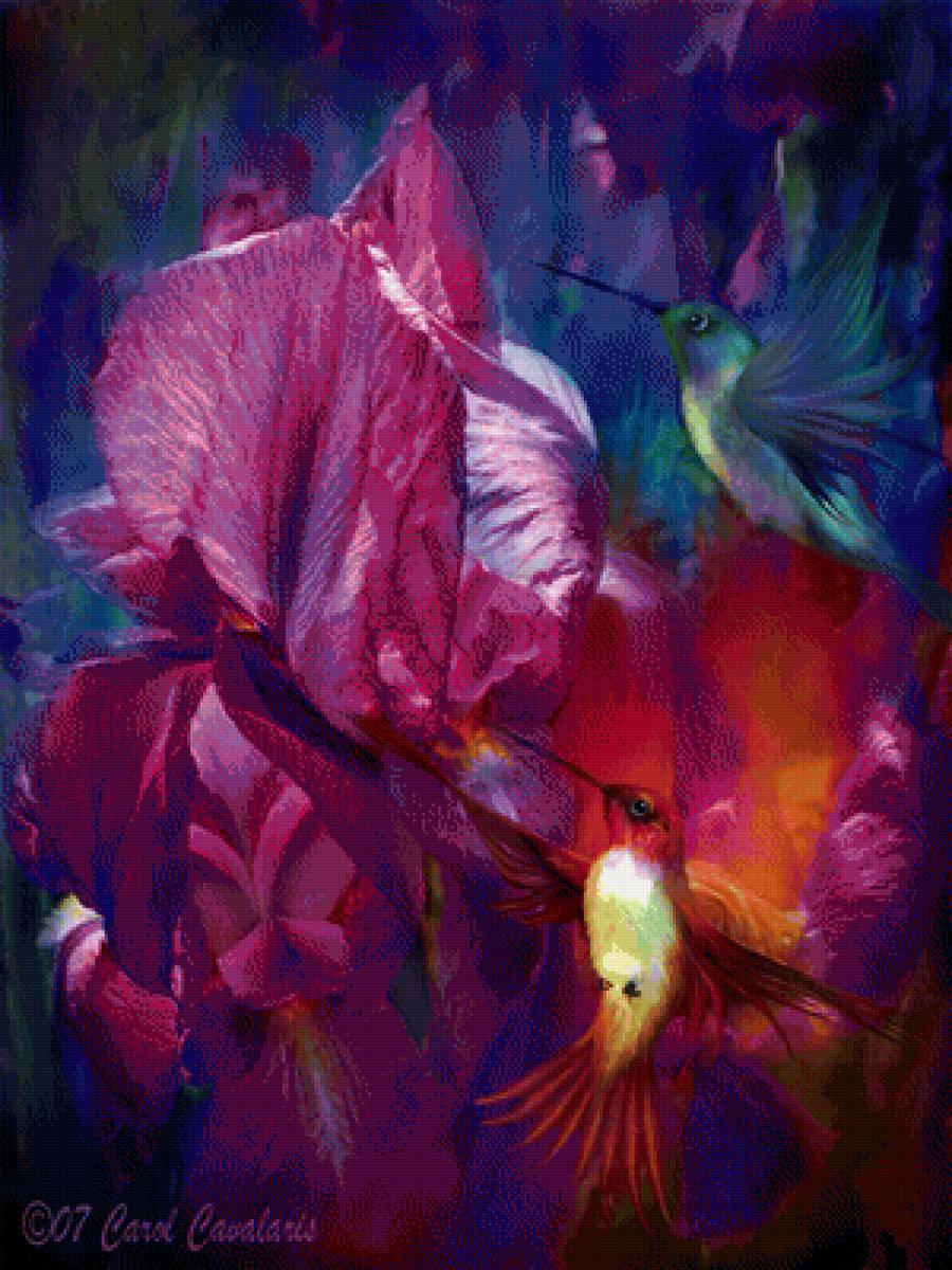 ирис3 Кэрол  Каваларис - картина, цветы - предпросмотр