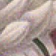 Предпросмотр схемы вышивки «Хризантемы» (№1400049)