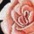 Предпросмотр схемы вышивки «розы» (№1400300)