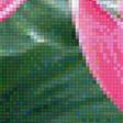 Предпросмотр схемы вышивки «лилии» (№1400649)