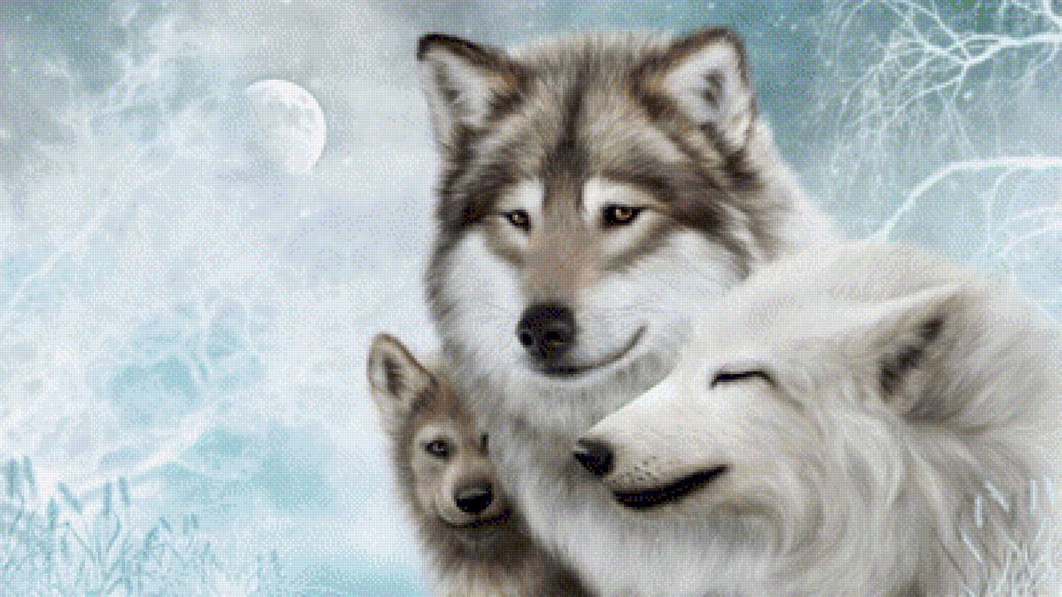 Семья волков - волки, семья, собаки, лайки - предпросмотр