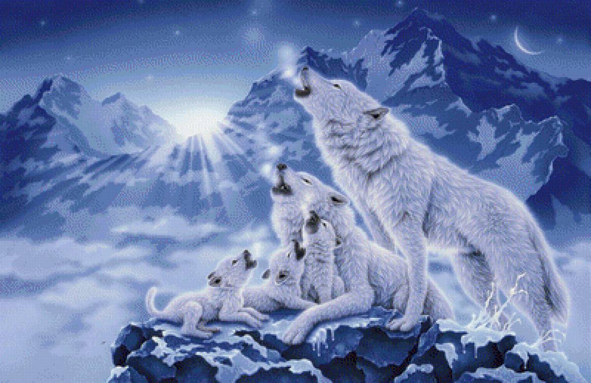 Семья волков 1 - волчата, волчица, волки, семья, зима - предпросмотр