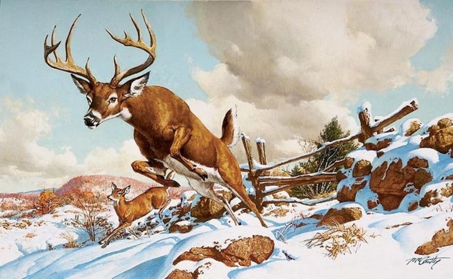Прыгающий олень - олень, природа, зима в горах, животные - оригинал