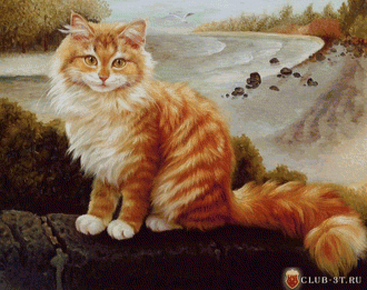 Рыжий котик - коты, животные - предпросмотр