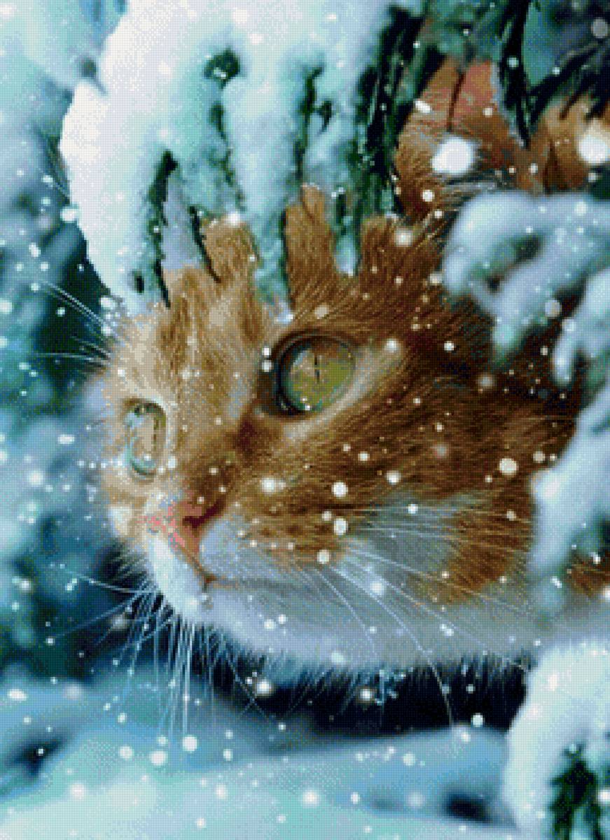 Котейко - кот, ель, зима, снег - предпросмотр