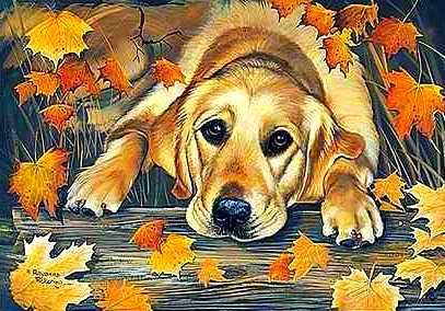 осенний листопад - картина, осень, природа, животные - оригинал