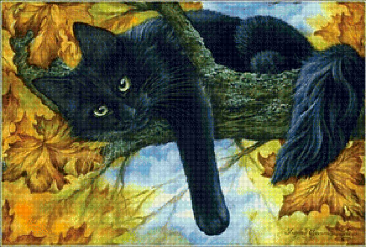 Черный кот - животные, кошки - предпросмотр