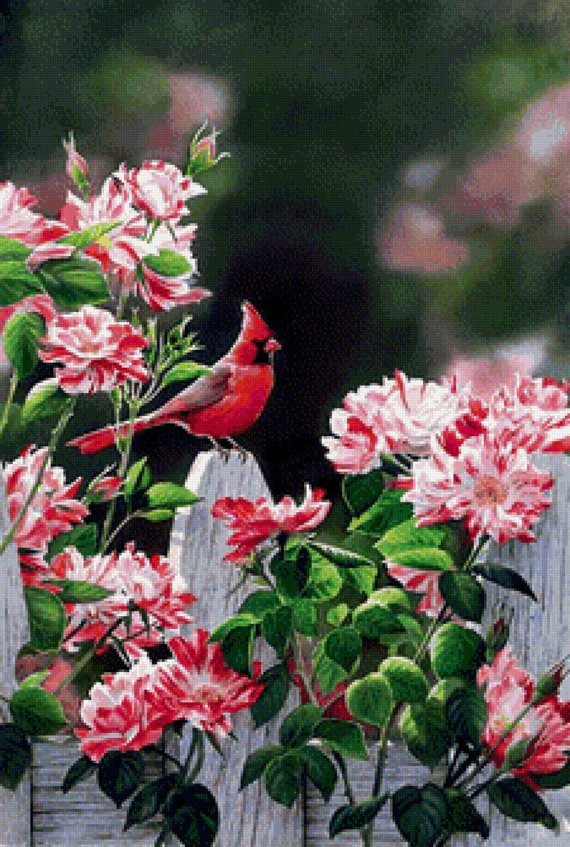 Серия "Птицы" - цветы, птицы - предпросмотр