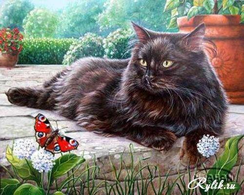 Кот и бабочка - бабочки, кошки, животные - оригинал