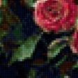 Предпросмотр схемы вышивки «Розы в лучах солнца» (№1405462)