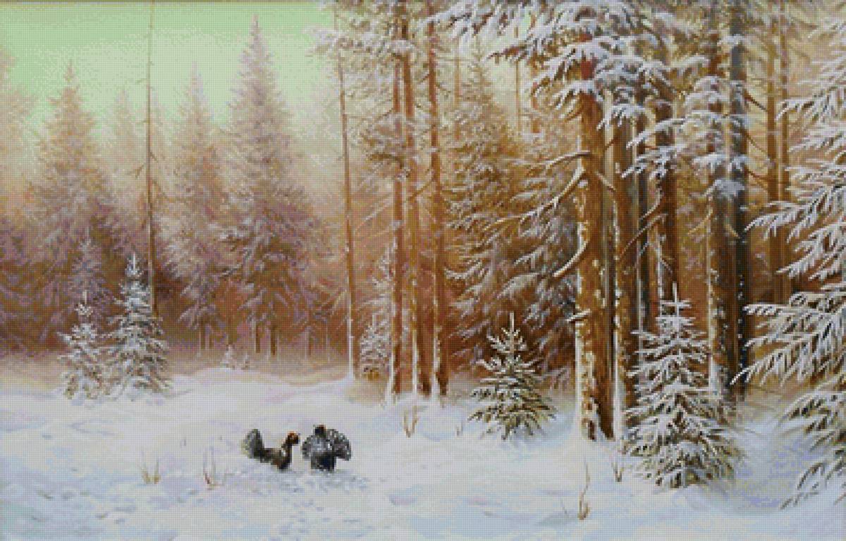 В зимнем лесу глухари - лес, глухари, зима, пейзаж - предпросмотр
