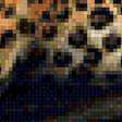 Предпросмотр схемы вышивки «леопард» (№1407005)