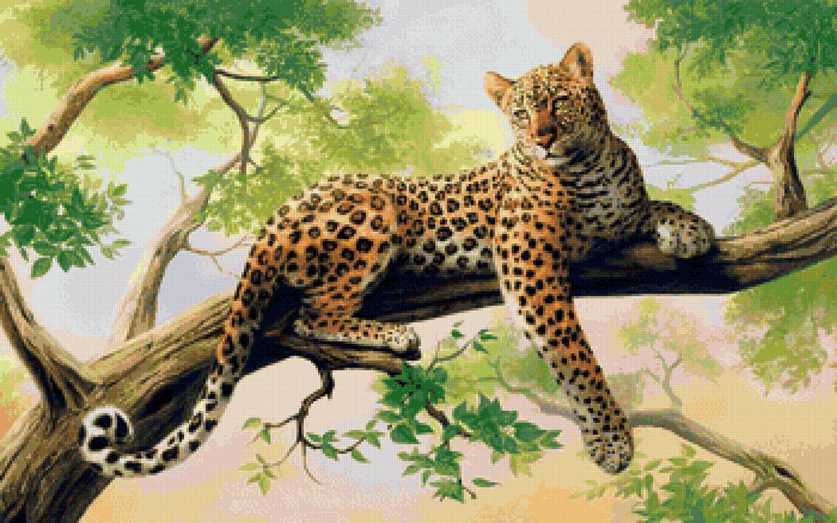 леопард - животные, леопард, природа - предпросмотр