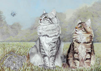 кошки пара - кошки, природа - оригинал