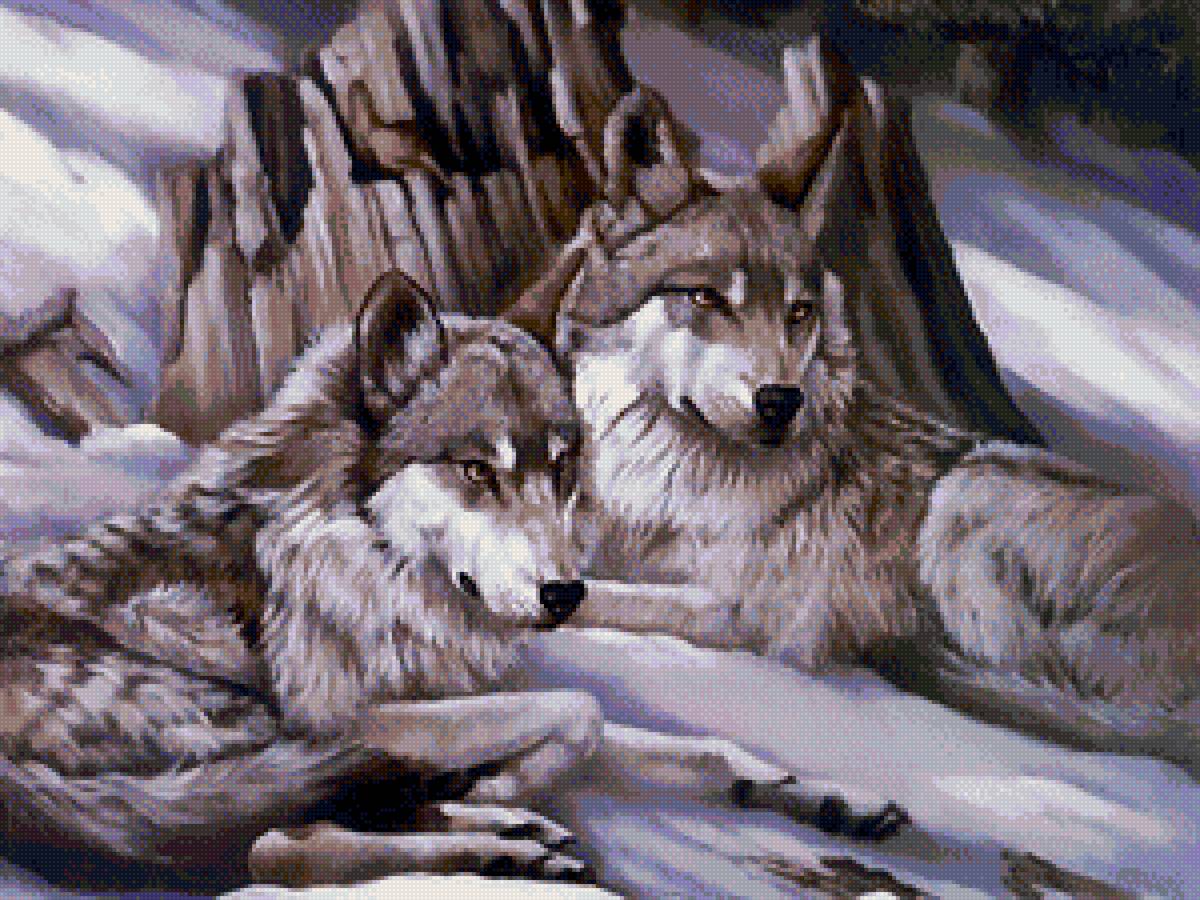 отдыхающие волки - волки - предпросмотр