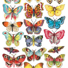 Оригинал схемы вышивки «бабочки» (№1414643)