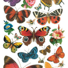 Оригинал схемы вышивки «бабочки» (№1414666)