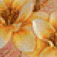 Предпросмотр схемы вышивки «magnolia» (№1415382)