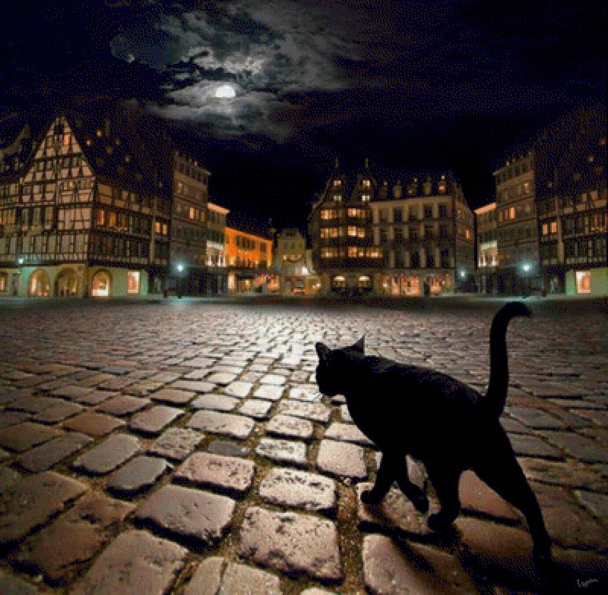 Ночной город - город, черный кот, ночь - предпросмотр