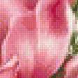 Предпросмотр схемы вышивки «ružové kvety,váza» (№1416853)