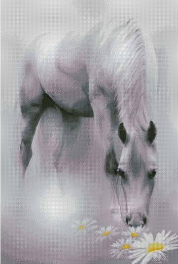 лошадь в тумане - животный мир, лошадь - оригинал