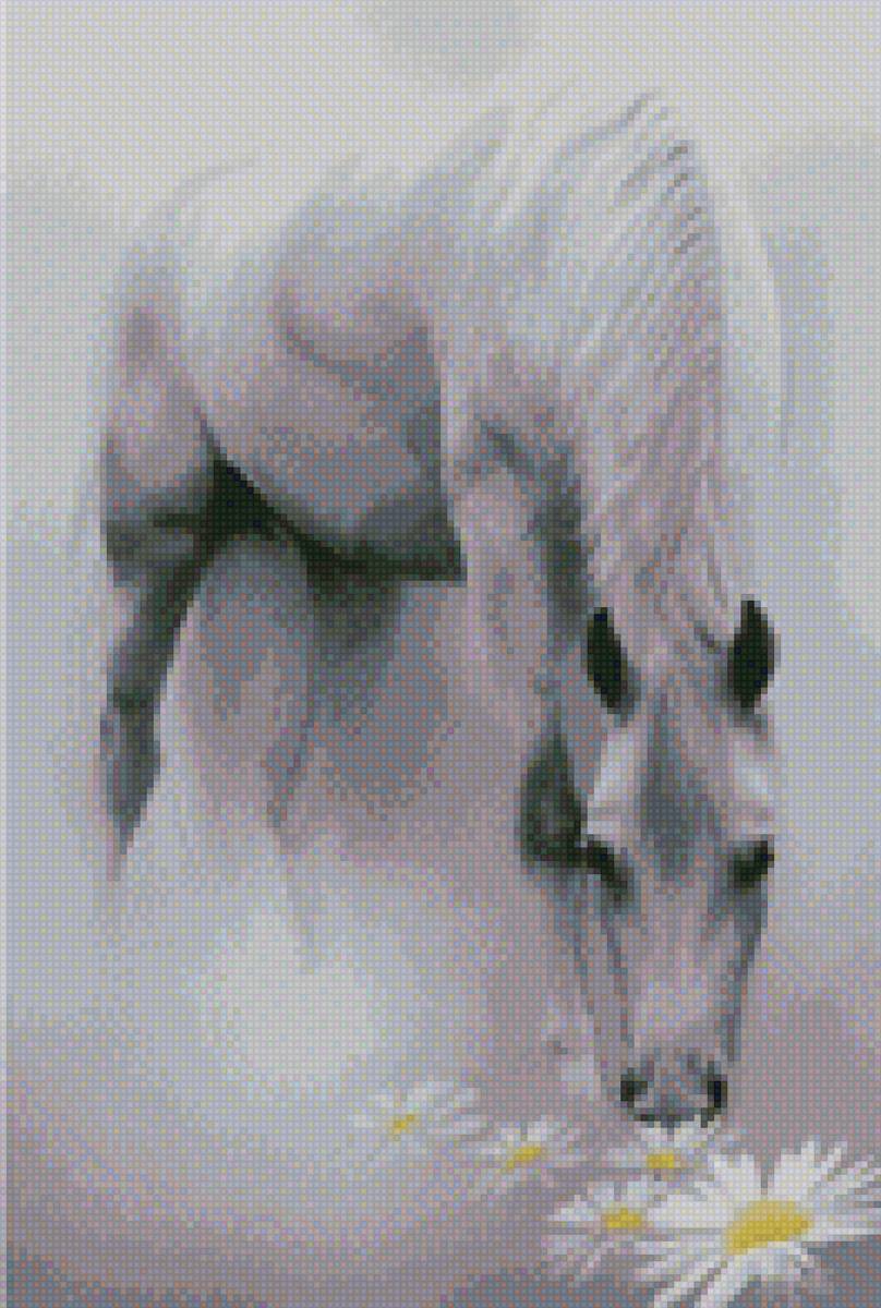 лошадь в тумане - животный мир, лошадь - предпросмотр
