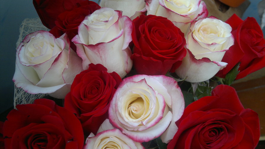 розы - розы, букет, цветы - оригинал
