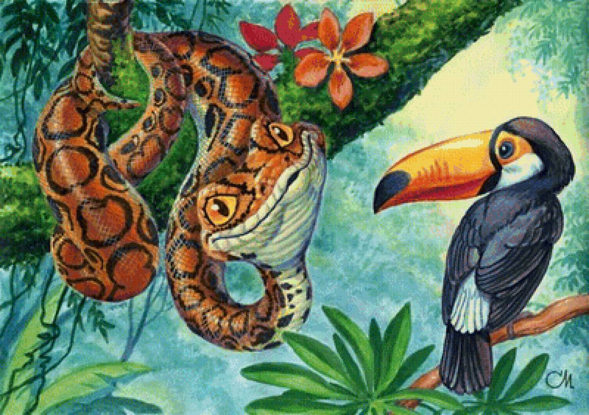 Удав - змея, природа, птицы - предпросмотр
