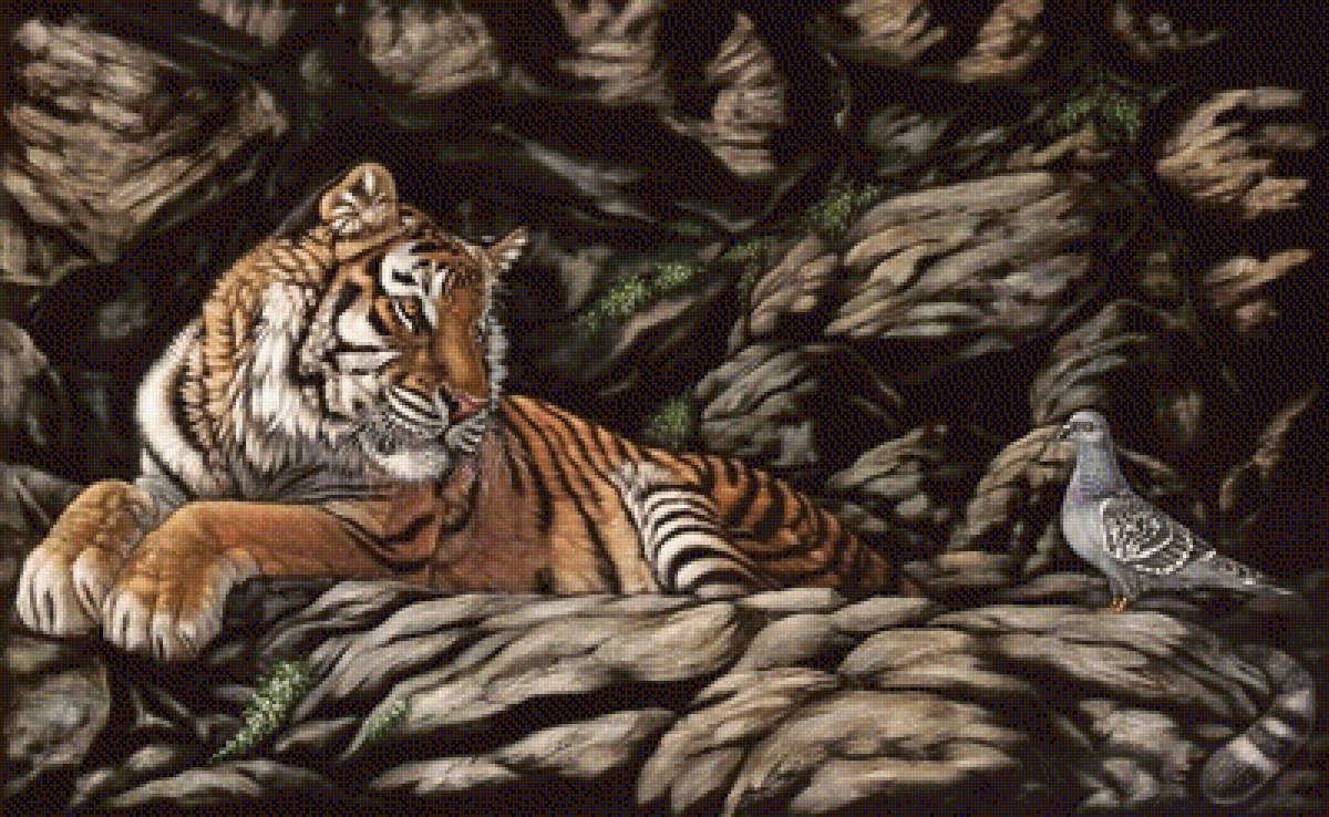 №1420560 - хищники, тигры, тигр, животные - предпросмотр