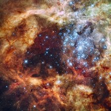 Star cluster in Tarantula nebula