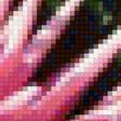 Предпросмотр схемы вышивки «хризантемы» (№1421163)