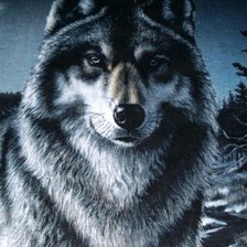 Оригинал схемы вышивки «Волк» (№1422147)