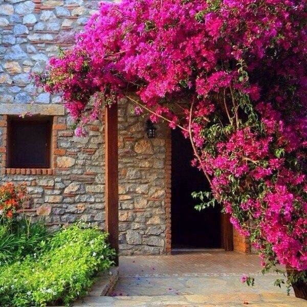 двери - розовый, красота, двери. улица - оригинал