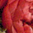 Предпросмотр схемы вышивки «цветы в вазе» (№1423252)