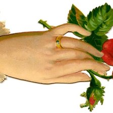 Оригинал схемы вышивки «роза» (№1427120)