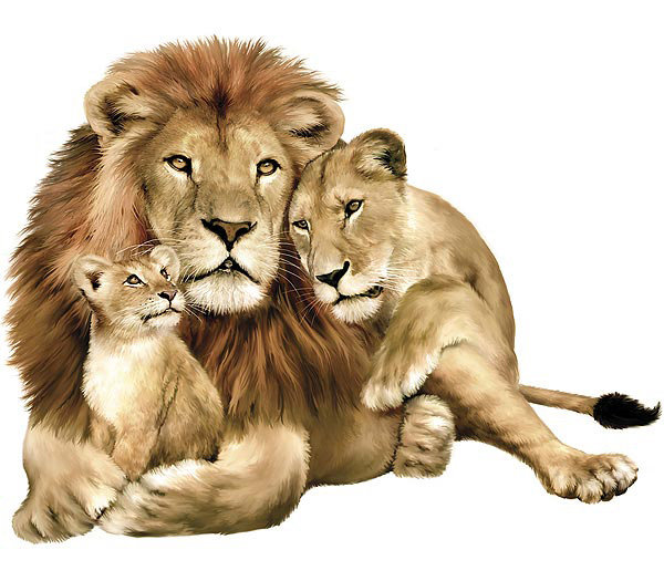 Семья львов - оригинал