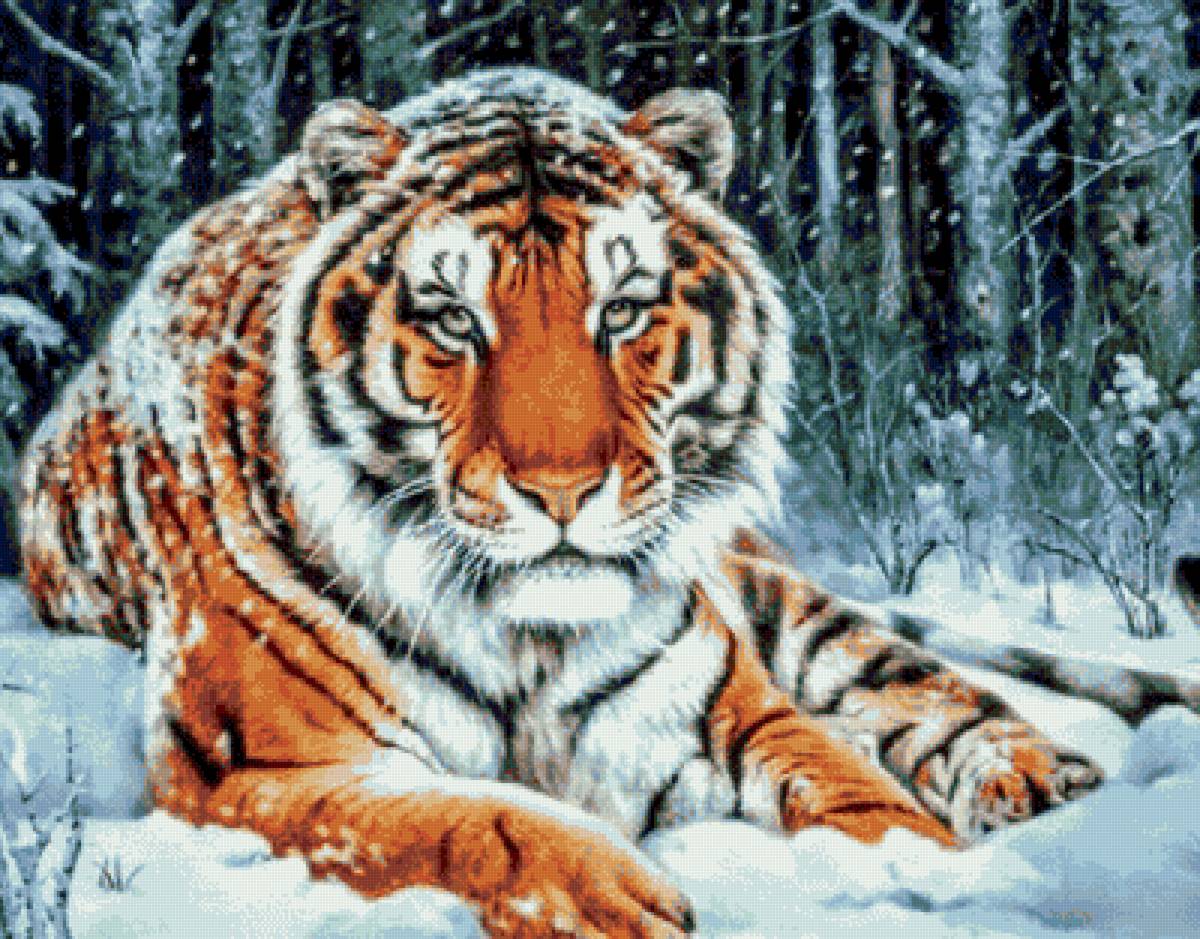 тигр на природе - животные, природа, тигр - предпросмотр