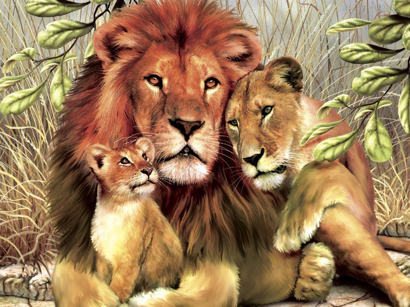 Левиное семейство - львиное семейство, природа, животные - оригинал