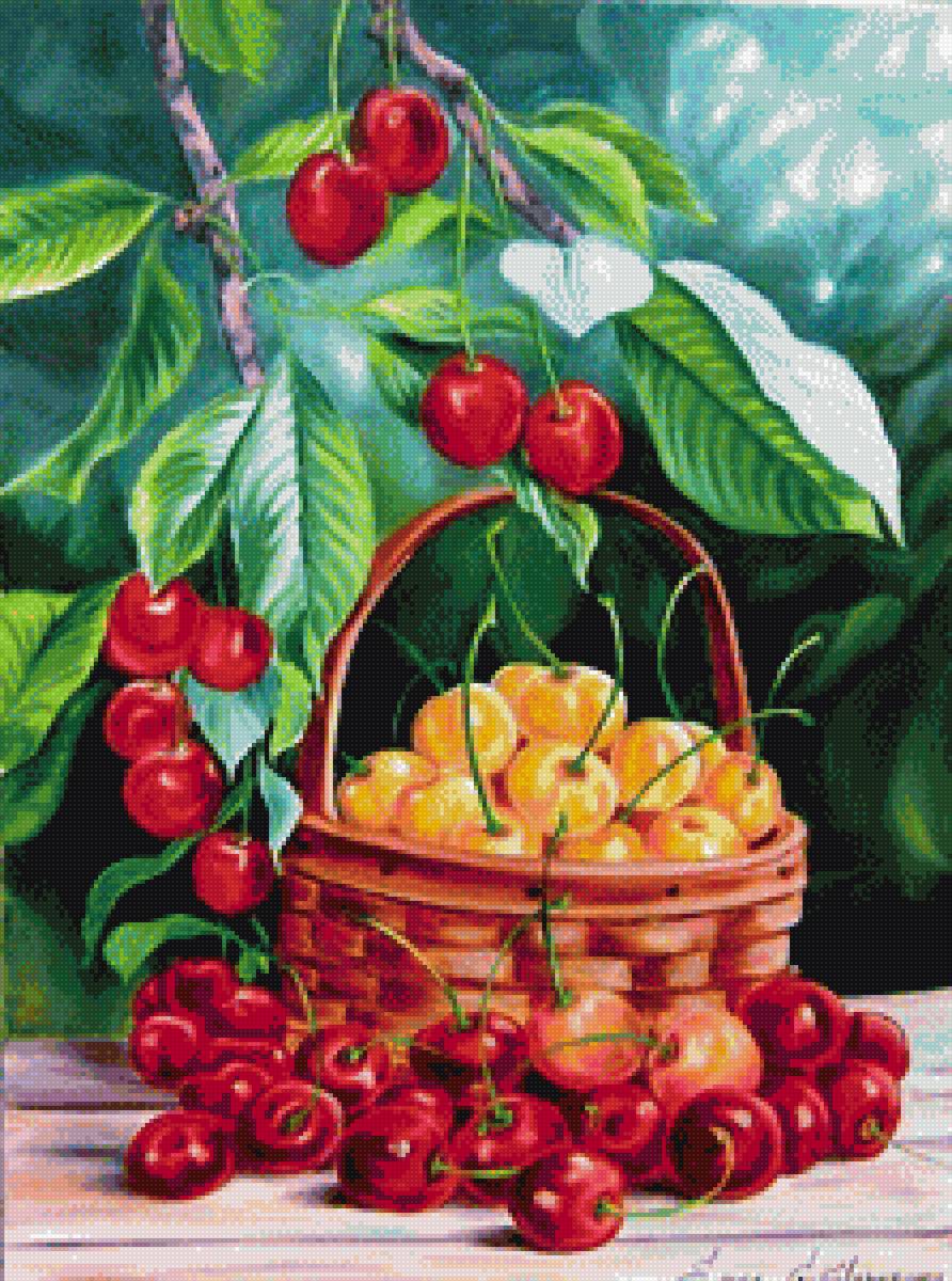 черешня - акварель, черешня, лето, ягоды, натюрморт - предпросмотр