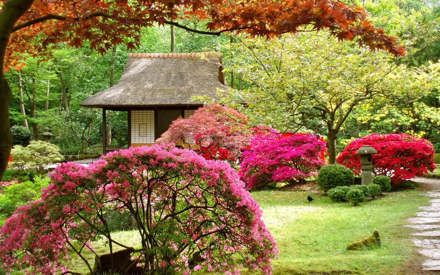 Японский сад - природа, пейзаж, сад, деревья - оригинал
