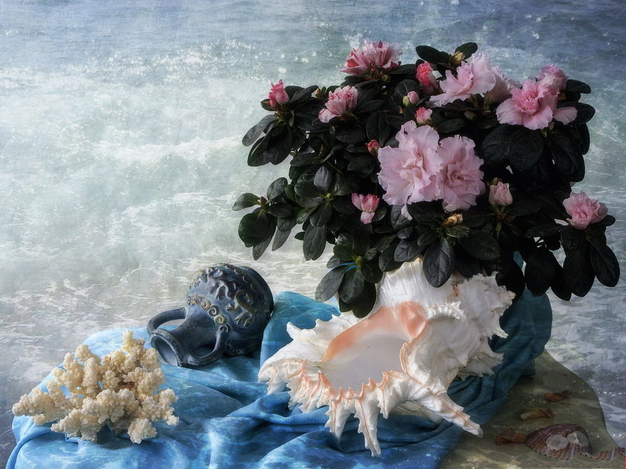у моря - цветы, ракушки, вода, море - оригинал